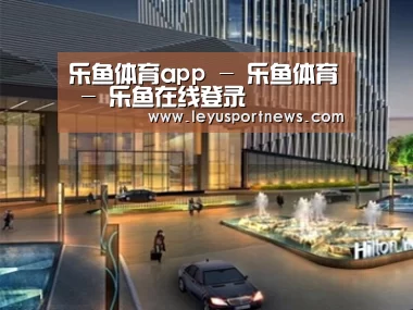 案例展示二