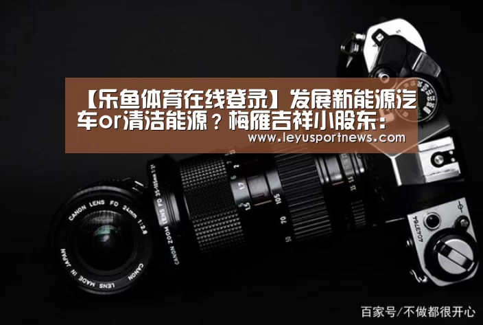 【乐鱼体育在线登录】发展新能源汽车or清洁能源?梅雁吉祥小股东:不看好发展(图2) 乐鱼娱乐