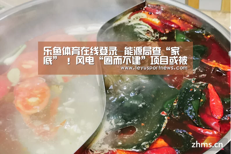 乐鱼体育在线登录-能源局查“家底” !风电“圈而不建”项目或被废止(图2) 乐鱼体育