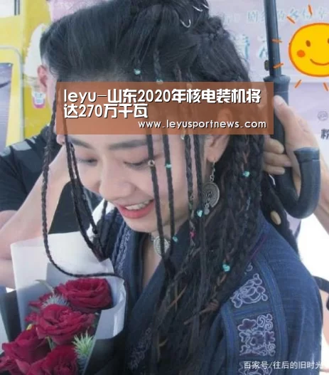 leyu-山东2020年核电装机将达270万千瓦(图3) leyu-山东2020年核电装机将达270万千瓦(图3)