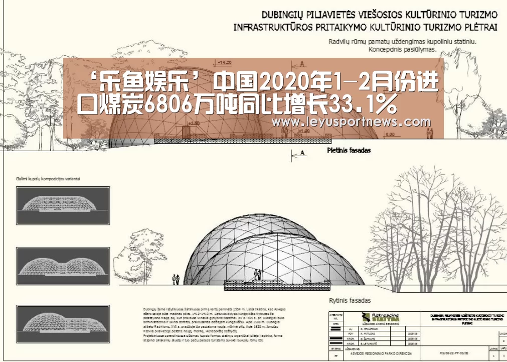 ‘乐鱼娱乐’中国2020年1-2月份进口煤炭6806万吨同比增长33.1%(图2) 乐鱼娱乐