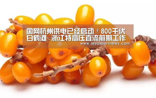 国网杭州供电已经启动±800千伏白鹤滩-浙江特高压直流前期工作【乐鱼娱乐】(图1) 国网杭州供电已经启动±800千伏白鹤滩-浙江特高压直流前期工作【乐鱼娱乐】(图1)