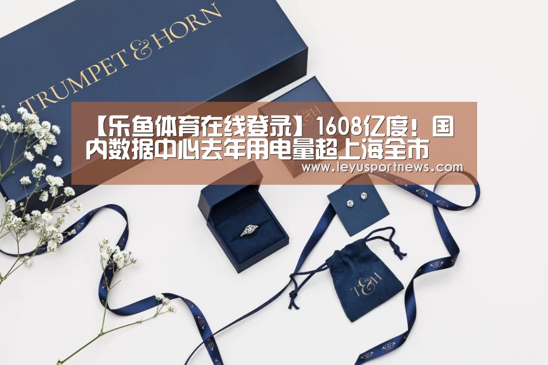 【乐鱼体育在线登录】1608亿度!国内数据中心去年用电量超上海全市(图1) 乐鱼娱乐