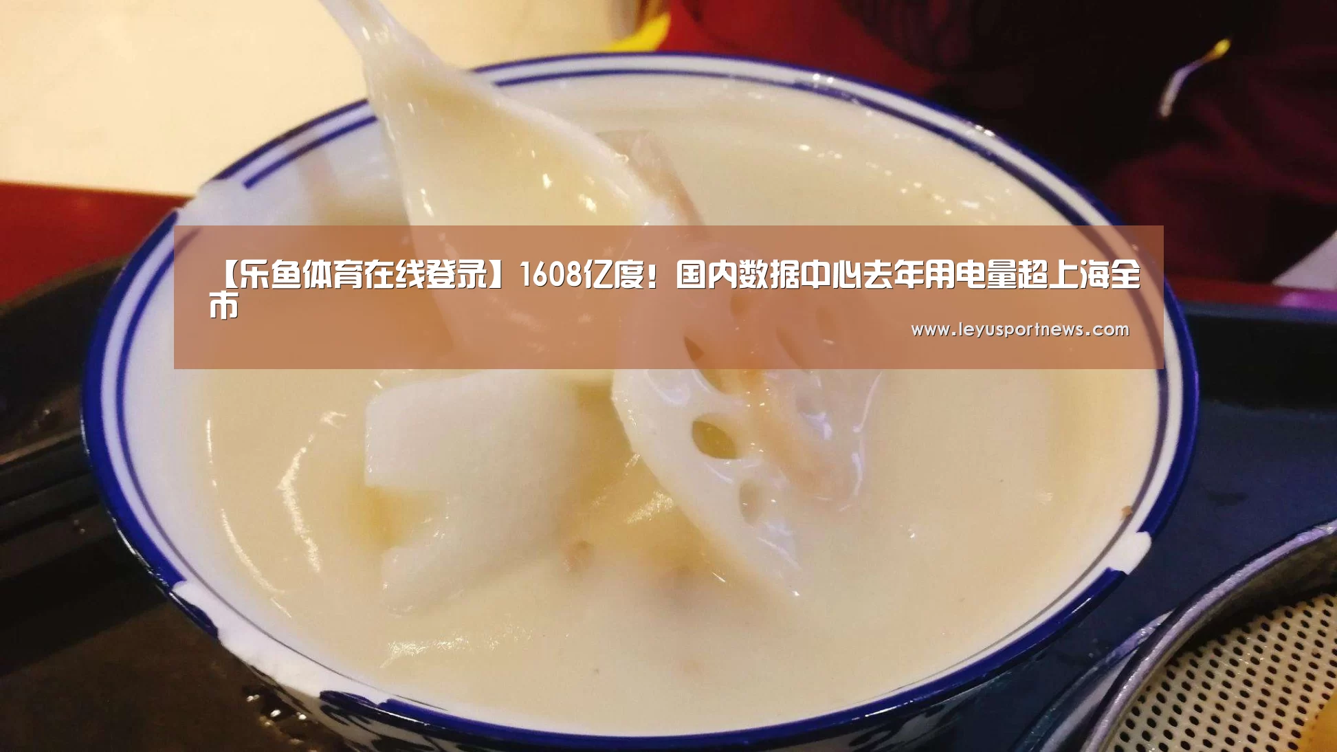 【乐鱼体育在线登录】1608亿度!国内数据中心去年用电量超上海全市(图2) 乐鱼体育