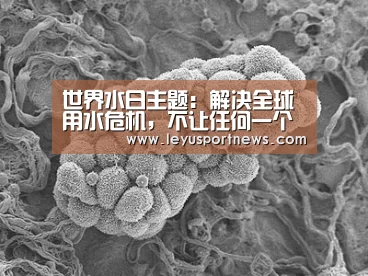 世界水日主题:解决全球用水危机,不让任何一个人掉队“leyu”(图3) 世界水日主题:解决全球用水危机,不让任何一个人掉队“leyu”(图3)